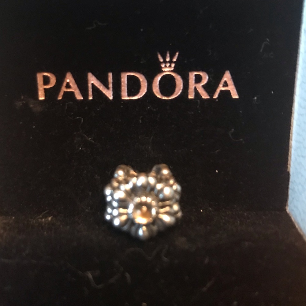 Authentic Pandora November Charm